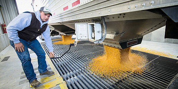 Canadian Farmers Fear Reduced Competition With Bunge's Viterra Takeover