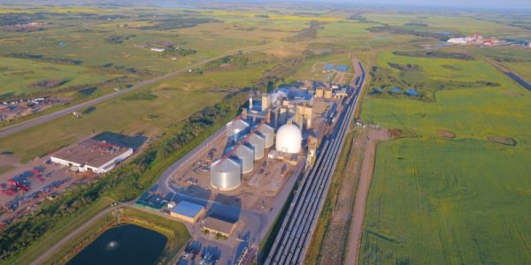 Louis Dreyfus Company Expands Canola Processing Facility In Canada