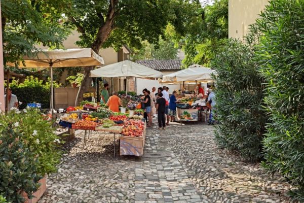 Fruit Harvest Faces Ruin After Floods Hit Italy's Emilia-Romagna