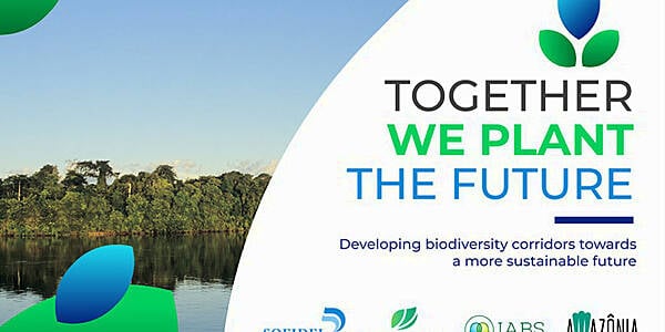 Sofidel, Suzano Team Up On Initiative To Protect Amazon Biodiversity