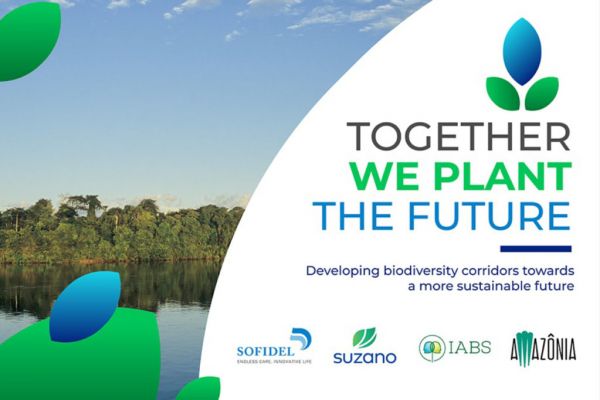 Sofidel, Suzano Team Up On Initiative To Protect Amazon Biodiversity