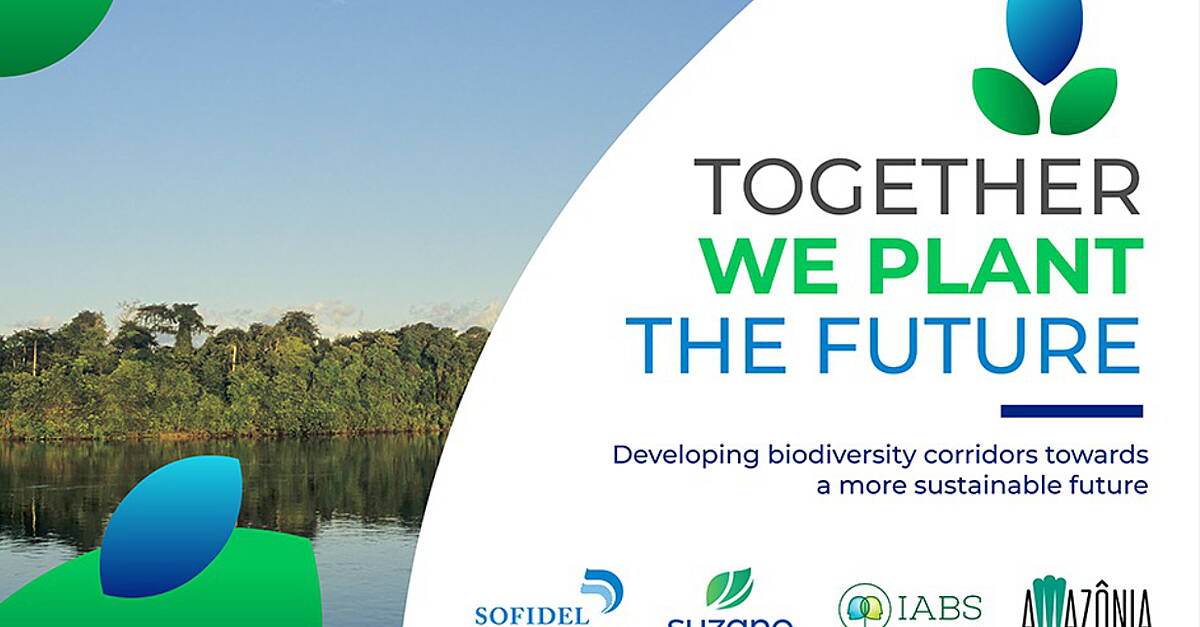 Sofidel, Suzano Team Up On Initiative To Protect Amazon Biodiversity - Vimarsana News