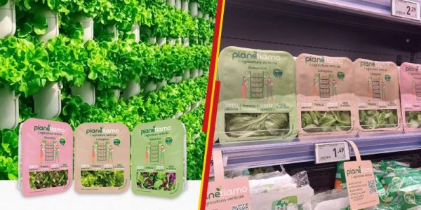 Penny Italia First To Launch Vertical Farming Private Label