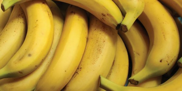Banana Export Quantities Fell Last Year, Says FAO