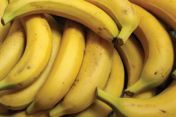 Banana Export Quantities Fell Last Year, Says FAO