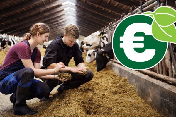 Arla Commences Payment Of Incentives To Farmers For Sustainability Efforts