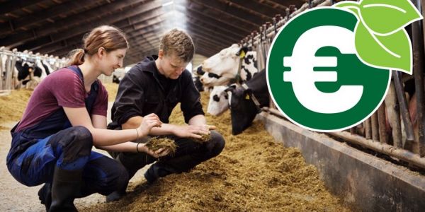 Arla Commences Payment Of Incentives To Farmers For Sustainability Efforts