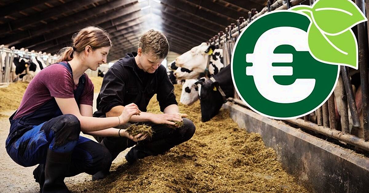 Arla Commences Payment Of Incentives To Farmers For Sustainability ...