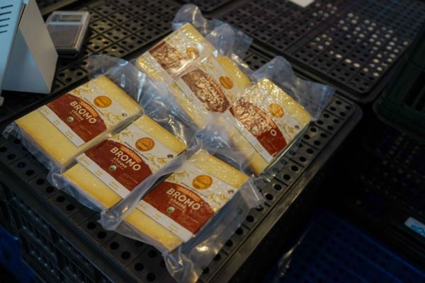 Indonesia Commences Production Of Local, Organic Cheese