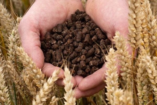 Nestlé Trials Developing Low-Carbon Fertiliser From Cocoa Shells