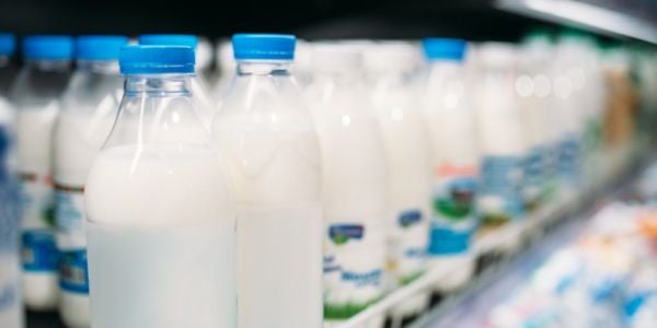 Top 20 Most Popular Dairy Brands In Europe