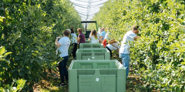 Croatia's Studenac Partners With Family Farms In Slavonia Region
