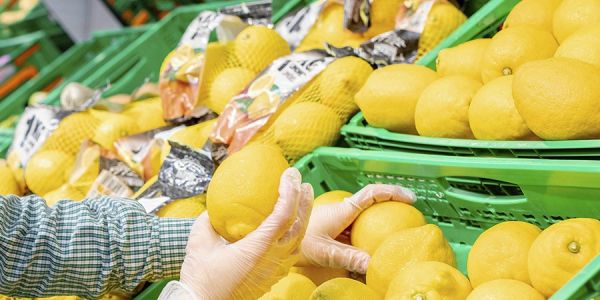 Mercadona To Buy More Spanish Citrus Fruit This Season