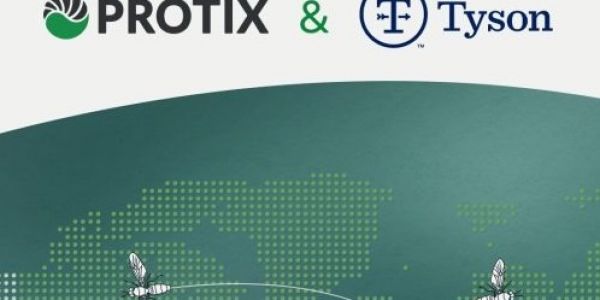 Tyson Foods Teams Up With Protix To Boost Sustainable Protein Production
