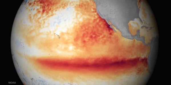 Buyer’s Brief: The Impact Of El Niño On Food Prices – A Perfect Storm