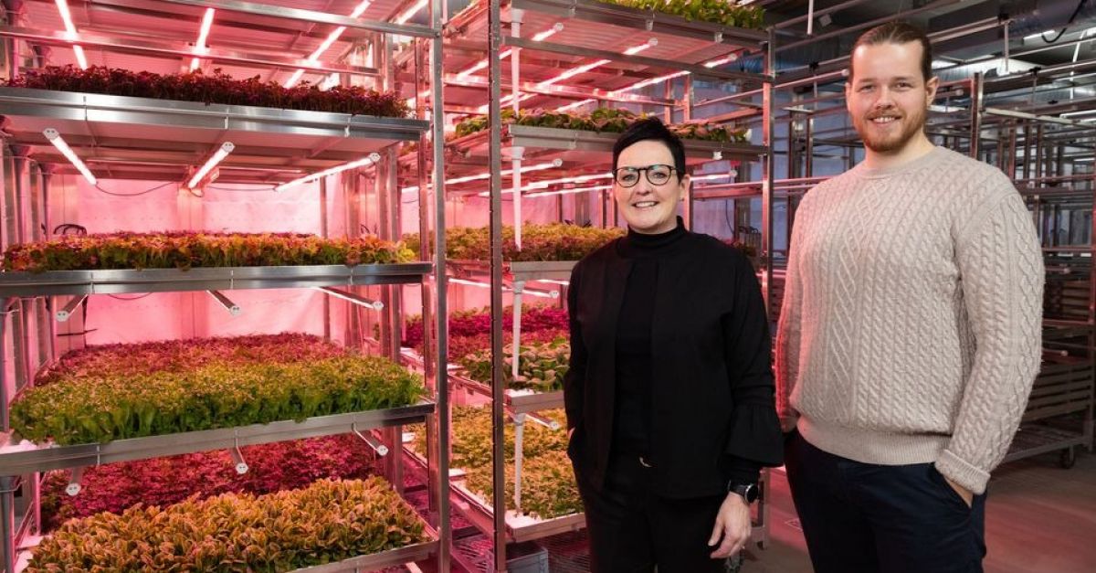 Coop Norge investerer i automatisert vertikal oppdrettsteknologi