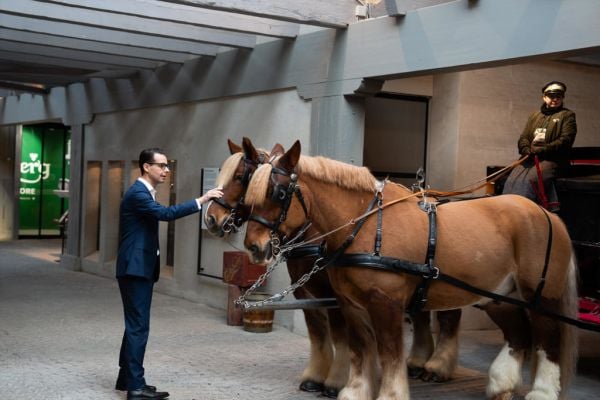 Carlsberg's Draught Horses Return Home As Copenhagen Visitor Centre Reopens