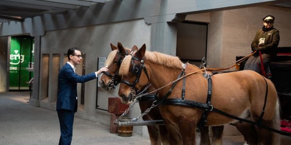 Carlsberg's Draught Horses Return Home As Copenhagen Visitor Centre Reopens