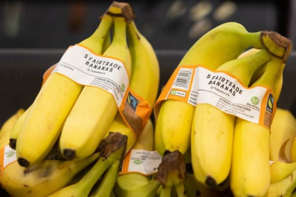 Sainsbury’s Invests In Living Wages For Banana Workers Ahead Of Commitment