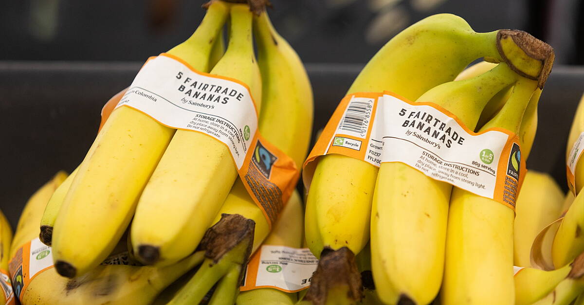 Sainsbury's Invests In Living Wages For Banana Workers Ahead Of Commitment - Vimarsana News