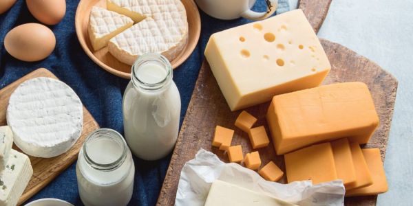 Russia Plans Big Dairy Export Push In North Africa, Middle East, Asia