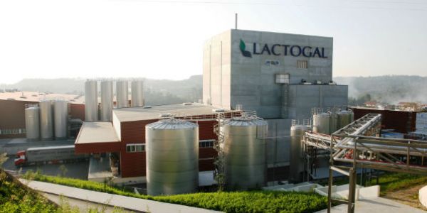 Portuguese Dairy Market Sees Major Consolidation