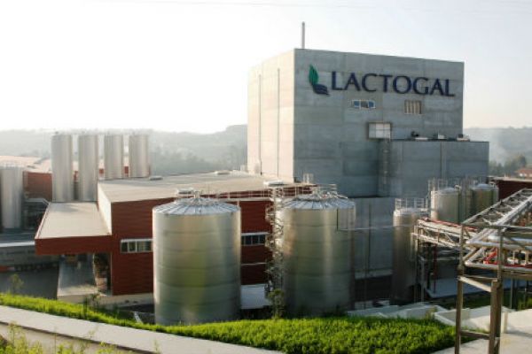 Portuguese Dairy Market Sees Major Consolidation