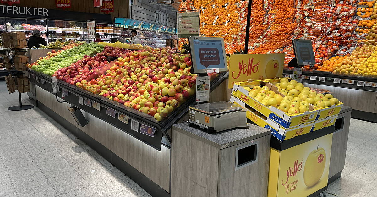 VOG Innovation Corner Offers A 'Breath Of Fresh Air' In Fruit And Vegetables - Vimarsana News