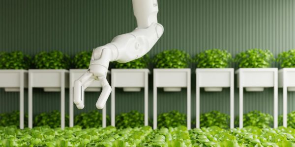 Robotics To Help Agri Sector Tackle Labour Shortages, Improve Efficiency
