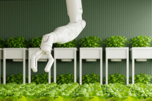 Robotics To Help Agri Sector Tackle Labour Shortages, Improve Efficiency