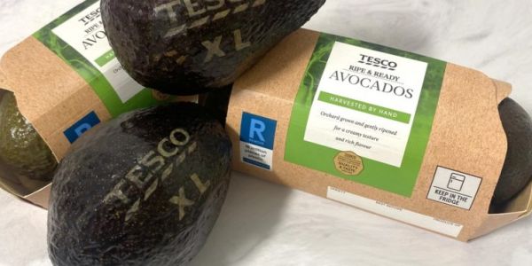 Tesco Lasering Avocados With Product Information In Test To Ditch Stickers