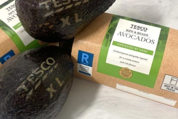 Tesco Lasering Avocados With Product Information In Test To Ditch Stickers