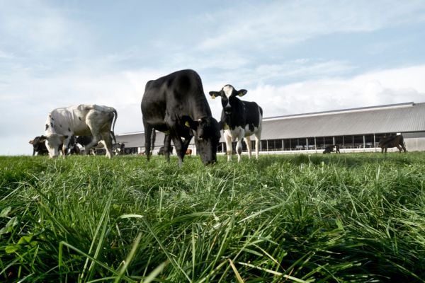 Arla Boosts Climate Impact Reduction Measures With New Programme