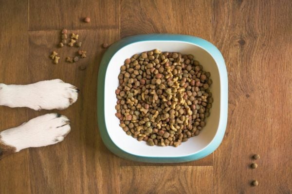 Navigating Trends In The Pet Food Market With FMCG Gurus