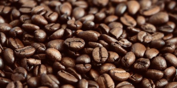 Brazil Coffee Harvest Advances Quickly, Lower Yields Reported