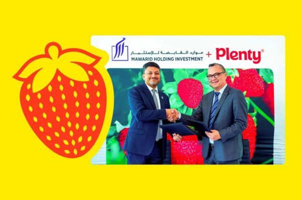 Vertical Farming Startup Plenty To Expand Via $680m JV With UAE's Mawarid