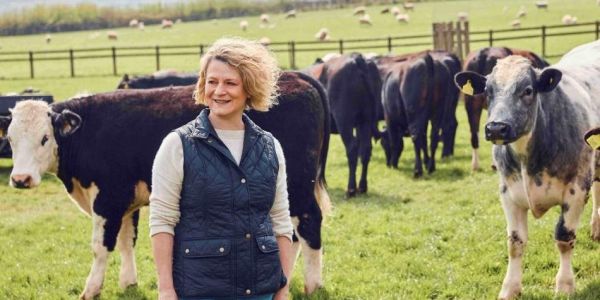 Lidl GB Pledges £1.5bn To Support Sustainable Practices In British Beef Production