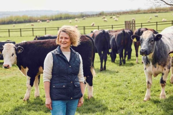 Lidl GB Pledges £1.5bn To Support Sustainable Practices In British Beef Production
