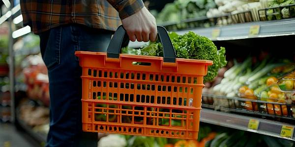 German Supermarkets Offer Cheaper Plant-Based Grocery Baskets, Study Finds