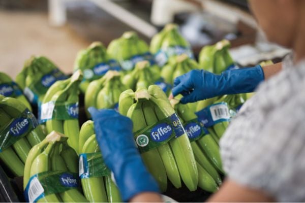 Welcome To Fyffes 2.0 &ndash;&nbsp;Helge Sparsoe, Fyffes CEO, Talks To ESM