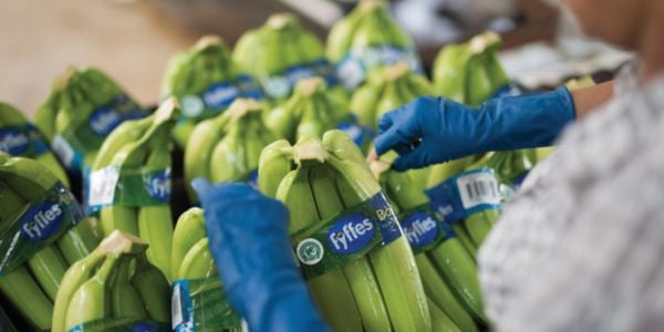 Welcome To Fyffes 2.0 – Helge Sparsoe, Fyffes CEO, Talks To ESM