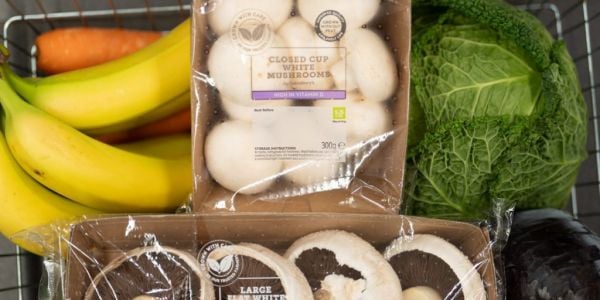 Sainsbury’s Launches Peat-Free Mushrooms