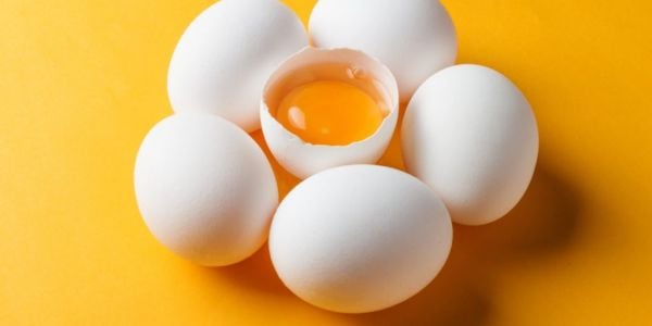 Morrisons Hatch White Egg Pack For UK Customers