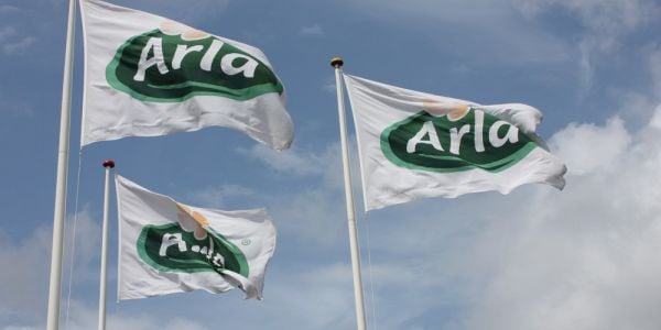 Arla Foods Plans To Acquire Egyptian Food-And-Beverage Company Domty