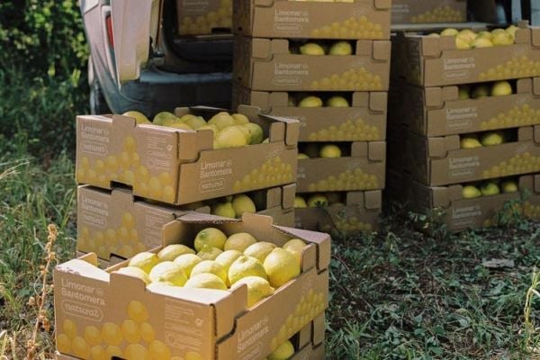 Spanish Cooperative Limonar de Santomera Posts Turnover Of &euro;58m In 2023-24