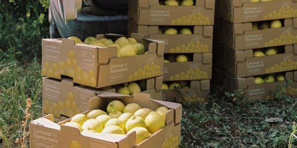 Spanish Cooperative Limonar de Santomera Posts Turnover Of €58m In 2023-24