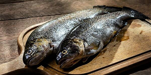 Austria Produced 9.6% More Fish Last Year