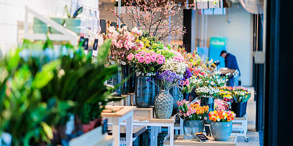 Albert Heijn Expands Flower And Plant Assortment In Stores