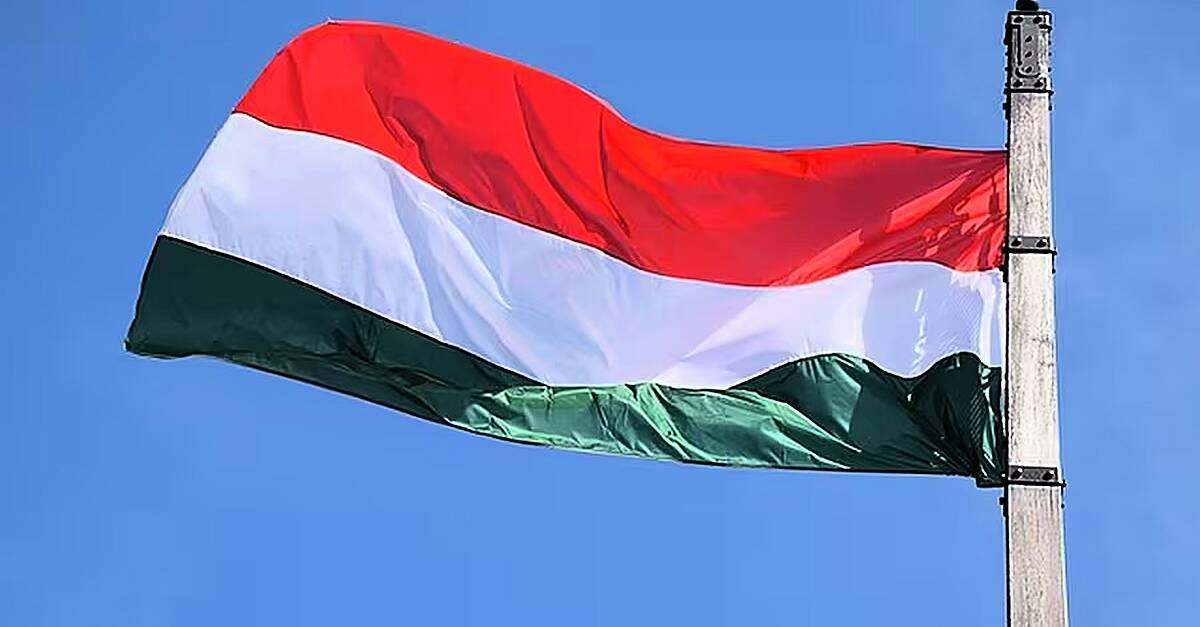 New Hungarian legislation introduces a maximum of 10% profit on (western) supermarket chains' basic ...
