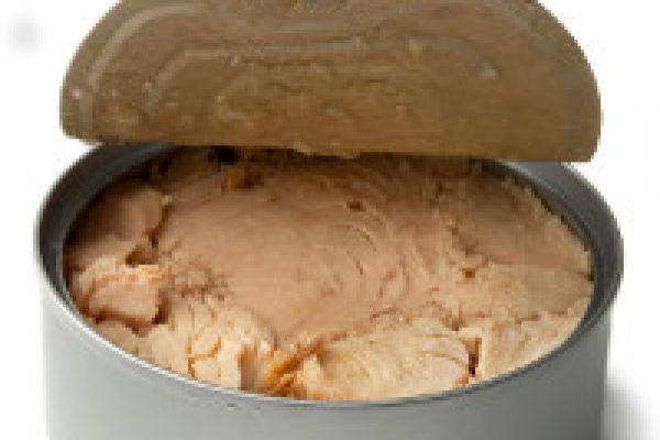 Mixed Reports on Safety of Canned Tuna for Pregnant Women